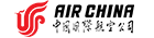 airline logotype