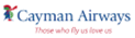 airline logotype